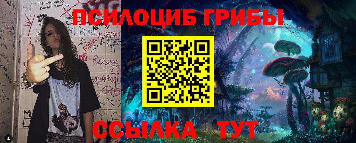 Галлюциногенные грибы Cubensis Екатеринбург