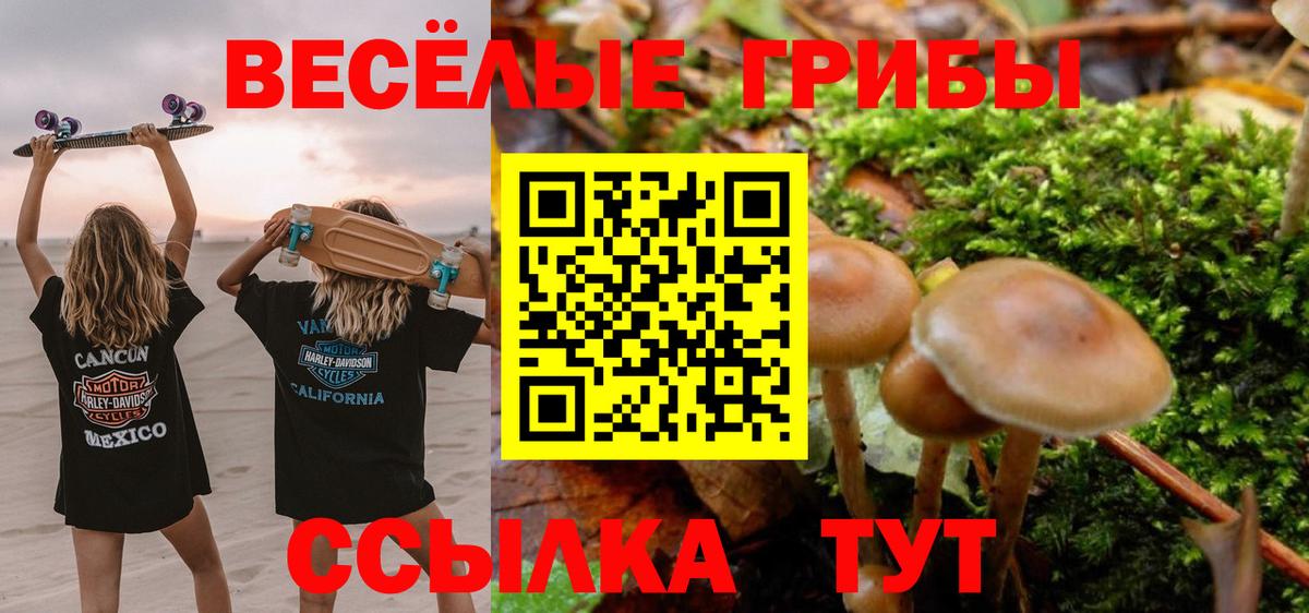 Екатеринбург  Псилоцибиновые грибы GOLDEN TEACHER  Вход с VPN 
